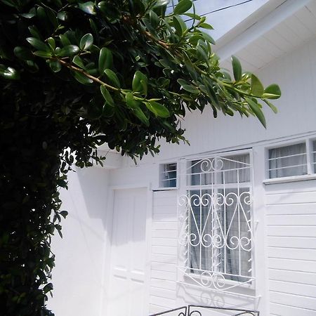Bight View Otel San Andrés Dış mekan fotoğraf