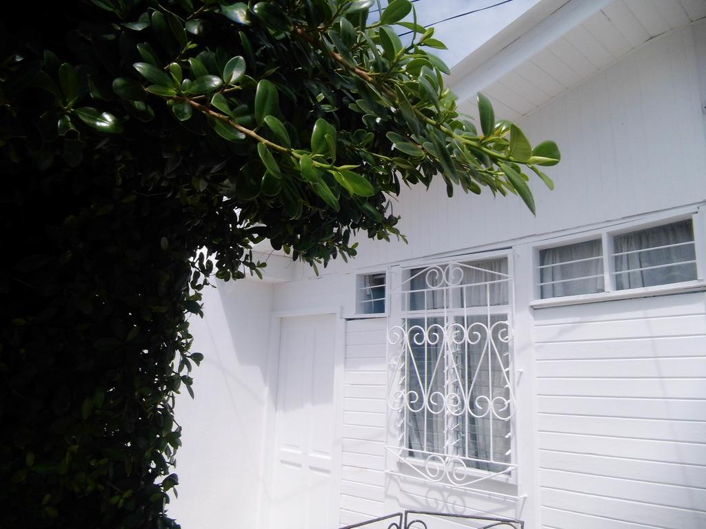 Bight View Otel San Andrés Dış mekan fotoğraf